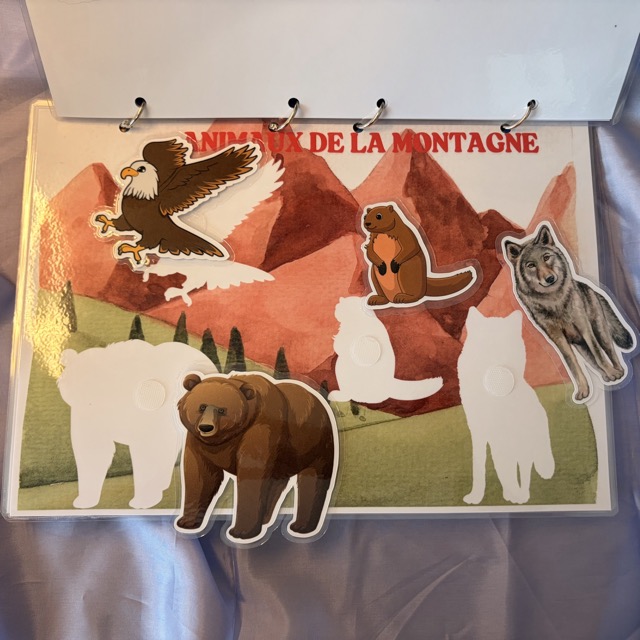 Livret d'activités Les Animaux de la terre 4